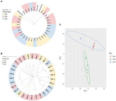 Genomic Investigation of Proteus mirabilis Isolates Recovered From Pig Farms in Zhejiang Province, China